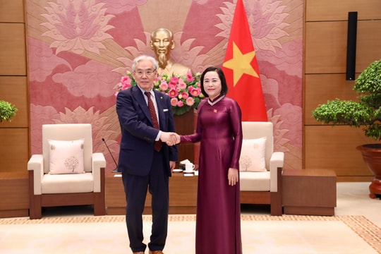 Phó Chủ tịch Quốc hội Nguyễn Thị Thanh tiếp Chủ tịch Tập đoàn Tokushukai Nhật Bản