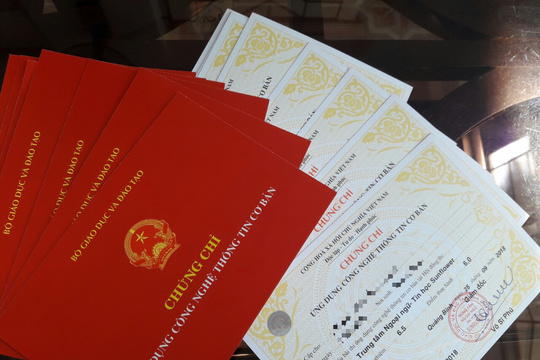 TP. Hồ Chí Minh: Hướng dẫn khai thác dữ liệu học bạ, văn bằng trong giải quyết thủ tục hành chính