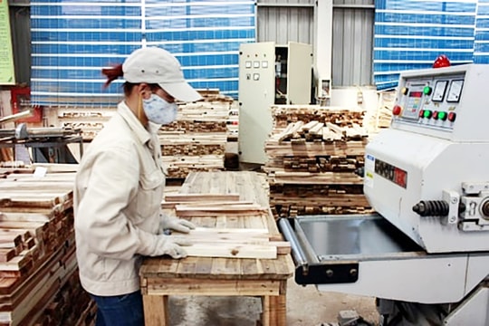 Cần cơ chế phù hợp cho bộ máy khuyến công