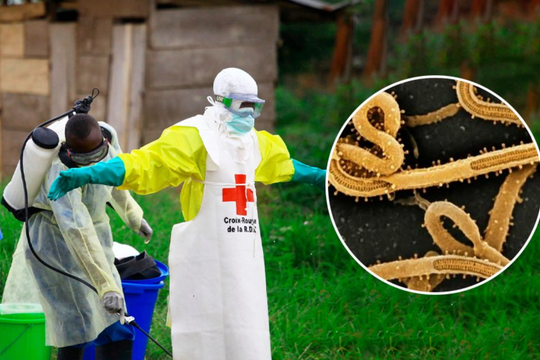Toàn cảnh đợt bùng phát dịch Ebola hiện tại