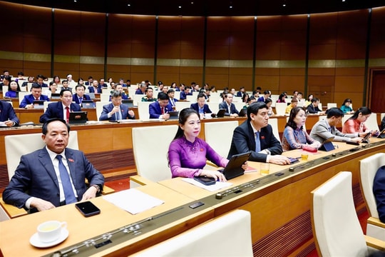 Cơ sở quyết định sáng suốt, trách nhiệm