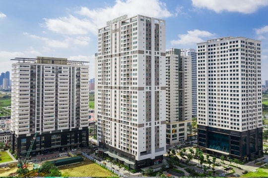 Taseco Land: "Cú nhảy vọt" trong quý đầu năm 2026 và những thách thức phía sau đòn bẩy tài chính