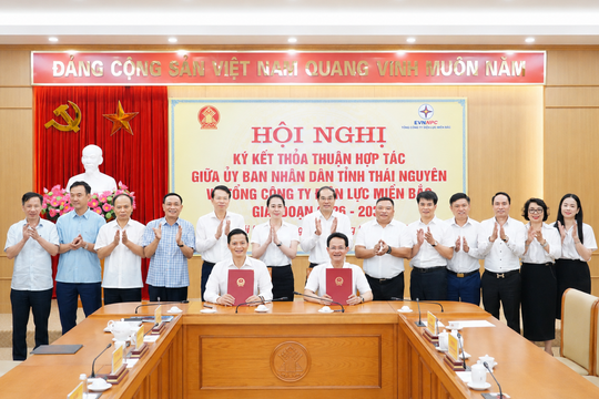 Thái Nguyên và Tổng Công ty Điện lực miền Bắc tăng cường hợp tác phát triển hạ tầng điện