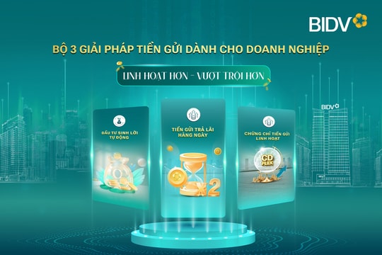 BIDV cung cấp giải pháp tiền gửi vượt trội cho doanh nghiệp