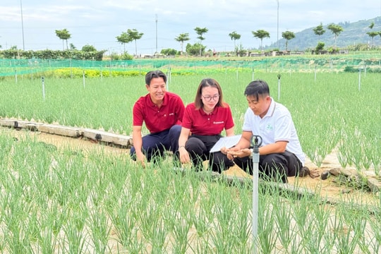 Bài 1: Hậu phương tài chính của ngư dân