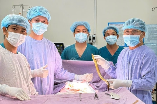 Hy hữu: Lươn dài hơn 50cm xuyên thủng trực tràng người đàn ông