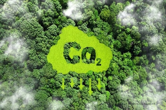 Hoàn thiện quy định về giao dịch tín chỉ carbon rừng