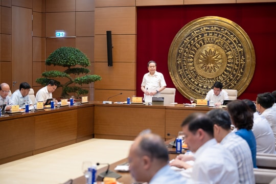 Không được phép đi sau thực tiễn