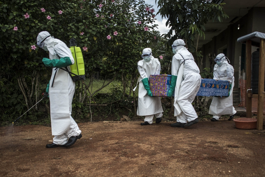 Ebola có nguy cơ lan rộng, Bộ Y tế khuyến cáo hạn chế đi lại vùng dịch bệnh