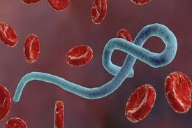 Các cơ sở y tế sẵn sàng cách ly, siết chặt kiểm soát dịch Ebola