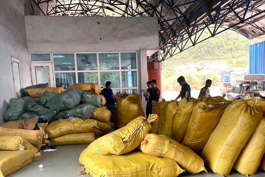 Nhiều hàng hóa vi phạm quyền sở hữu trí tuệ vận chuyển qua biên giới liên tiếp bị chặn đứng
