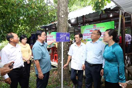 Chuyển đổi từ tư duy sản xuất nông nghiệp sang kinh tế nông nghiệp