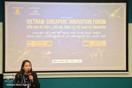 Vietnamese community in Singapore pins high hope on top leader's state visit