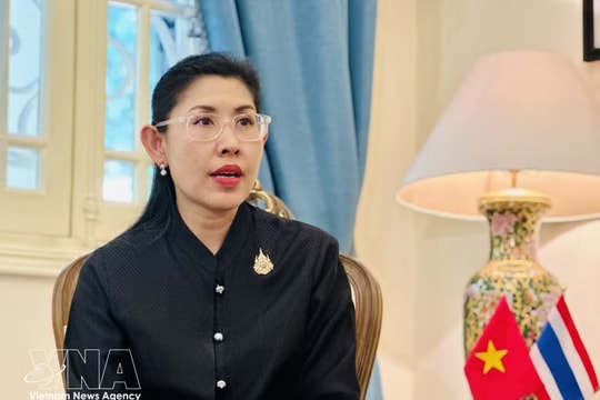 Vietnam–Thailand Comprehensive Strategic Partnership poised for new leap forward: Ambassador