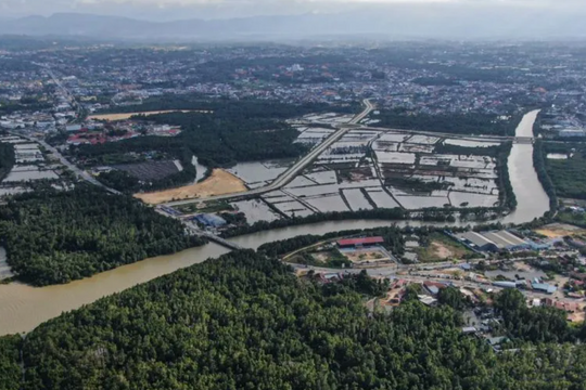 Indonesia expands forestry carbon market under new regulation