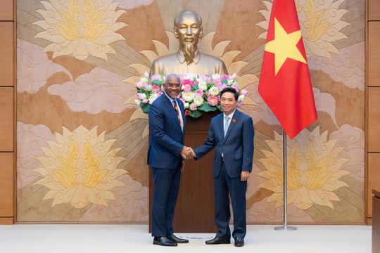 Phó Chủ tịch Quốc hội, Thượng tướng Nguyễn Doãn Anh tiếp Đoàn hạ nghị sĩ Hoa Kỳ