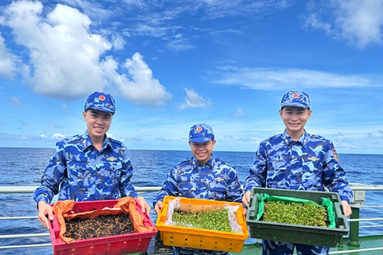 Những “mầm xanh” trên boong tàu cảnh sát biển