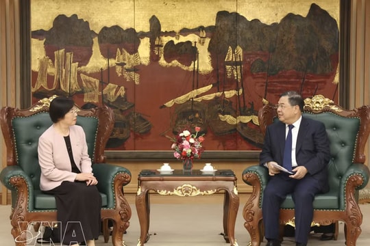 Vietnam drives infrastructure investment cooperation: Deputy PM