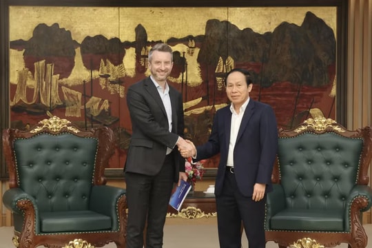 Vietnam extends all possible support to reputable int’l education establishments: Deputy PM