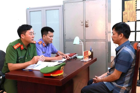 Bắt giam đối tượng chuyên thu mua lợn dịch về giết mổ bán ra thị trường