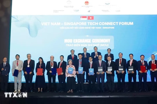 Kết nối công nghệ Việt Nam - Singapore