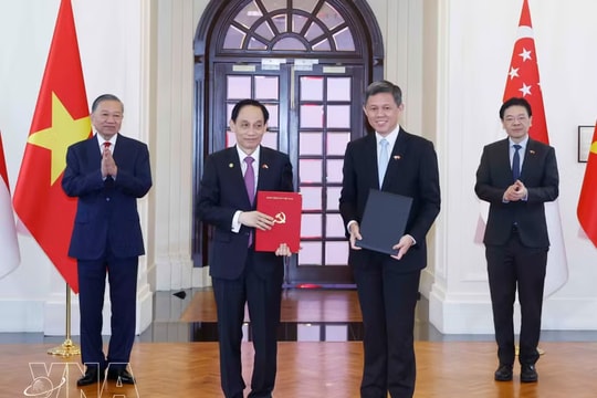 Vietnamese, Singaporean leaders witness exchange of cooperation documents