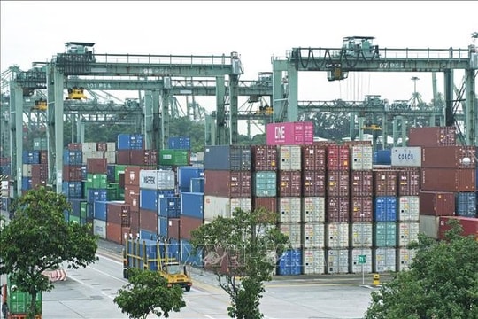 Vietnam-Singapore trade cooperation gains fresh momentum
