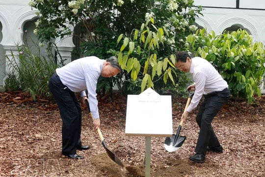Vietnam's top leader, Singapore PM plant tree at Singapore Botanic Gardens
