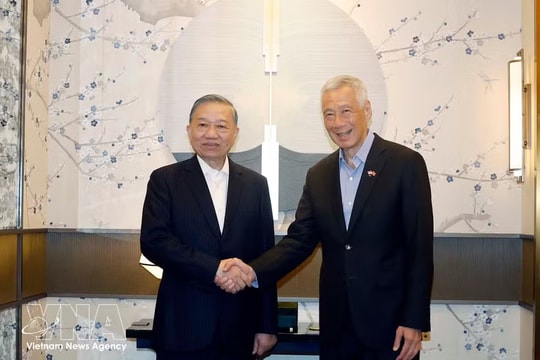 Vietnam-Singapore ties: a cooperation model in ASEAN