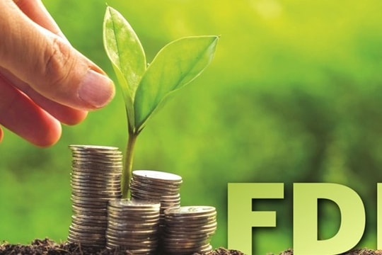 Thu hút FDI và bảo vệ môi trường trong giai đoạn tăng trưởng hai con số