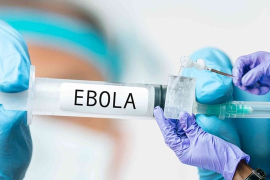 Bác sĩ chỉ “2 phút vàng” ngăn chặn nguy cơ lây nhiễm Ebola
