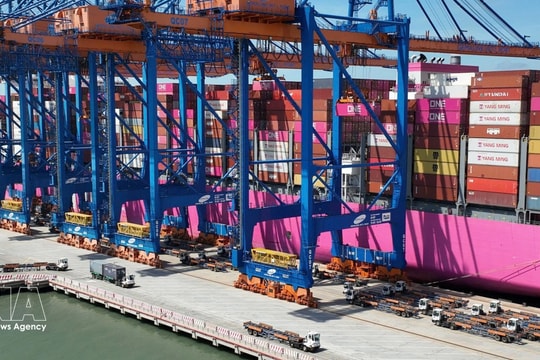 Vietnam one of Southeast Asia’s most dynamic logistics markets: survey