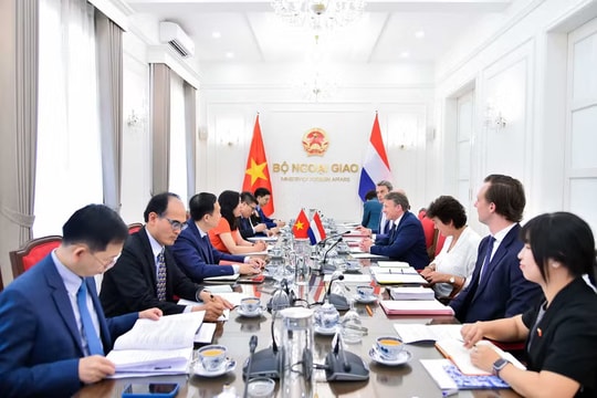Vietnam, Netherlands hold second deputy minister-level political consultation