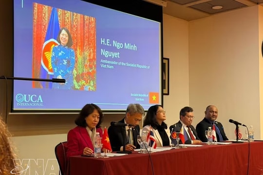 Vietnam reaffirms independent foreign policy, strategic autonomy: Ambassador
