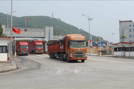 Trade turnover exceeds 445 billion USD in five months