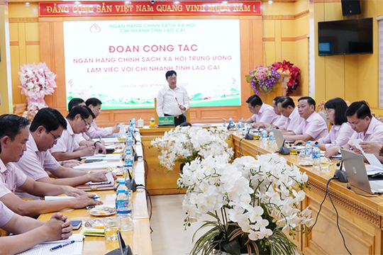 NHCSXH tỉnh Lào Cai: Tiếp tục củng cố, nâng cao chất lượng hoạt động tín dụng chính sách