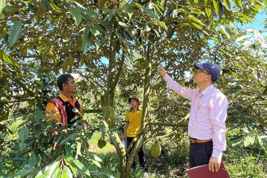 Bài cuối: Không để người nghèo thiếu vốn