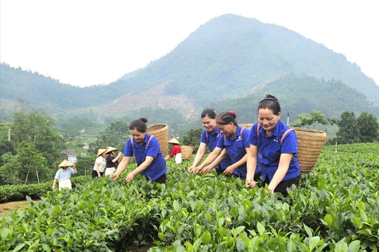 Thái Nguyên: Lấy văn hóa bản địa kiến tạo mũi nhọn kinh tế du lịch