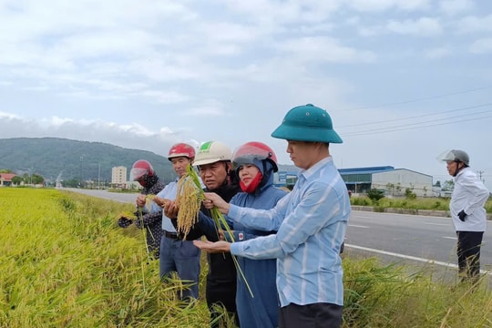 Bài 4: Người vác tù và trong thời đại công nghệ số