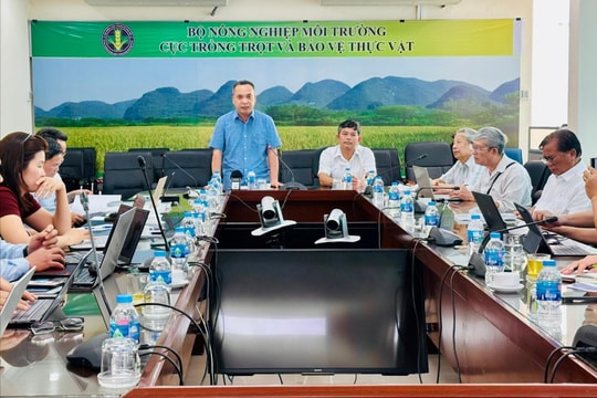 Lĩnh vực trồng trọt, bảo vệ thực vật bãi bỏ 11 thủ tục, đẩy mạnh phân cấp