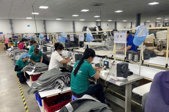 Hà Tĩnh: Dự kiến đào tạo nghề cho hơn 10.000 lao động nông thôn
