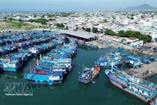 ASEAN, Norway promote cooperation in sustainable blue economy development
