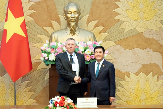Phó Chủ tịch Quốc hội Nguyễn Hồng Diên tiếp Đoàn Hội đồng Năng lượng gió toàn cầu