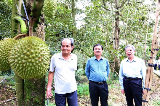 Đồng Tháp làm gì để nông sản vươn xa, đời sống nông dân khấm khá hơn?