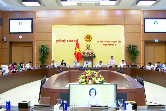 Cụ thể hóa thẩm quyền đánh giá cán bộ vụ chuyên môn các Ủy ban của Quốc hội