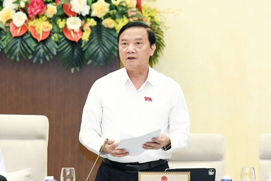 Hoàn thiện cơ sở pháp lý về thẩm quyền giải quyết vụ việc phục hồi, phá sản của Tòa án nhân dân khu vực