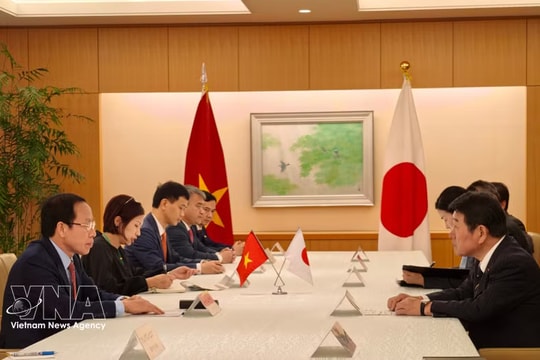 Vietnam, Japan seek to deepen all-round relations