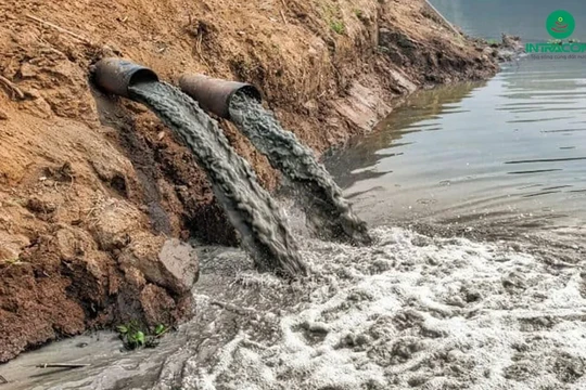Phòng ngừa ô nhiễm môi trường từ sớm