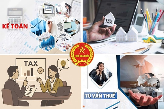 Cục Thuế cảnh báo doanh nghiệp sử dụng nhiều hệ thống sổ kế toán để che giấu doanh thu