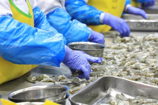 Indonesia opens first radioactivity testing lab for seafood